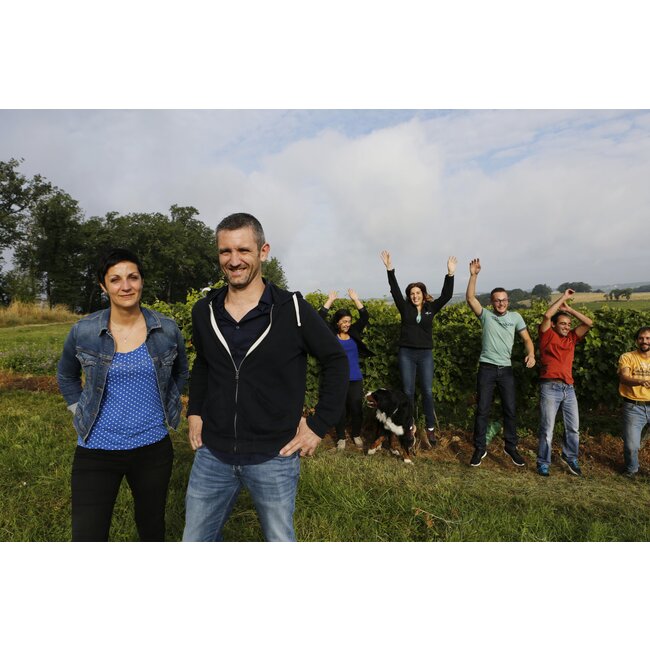 Domaine Saint-Lannes Prélude d'Hiver Moelleux - Côtes de Gascogne, Frankrijk