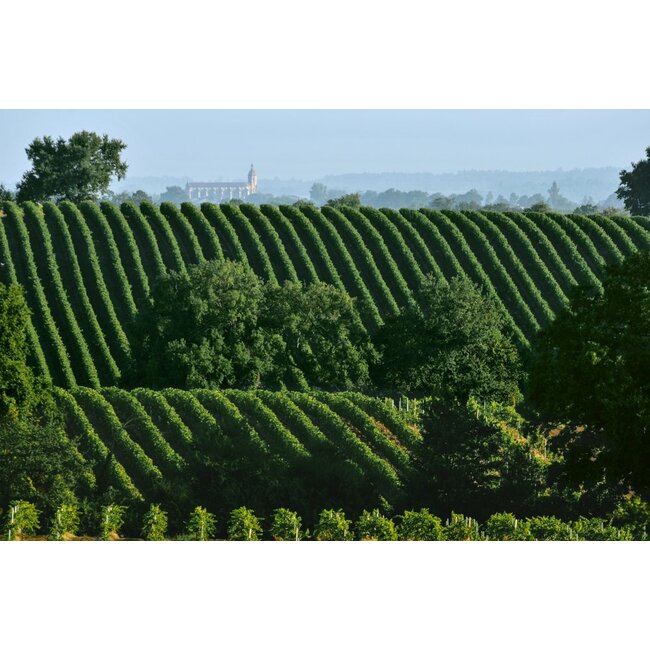 Domaine Saint-Lannes Prélude d'Hiver Moelleux - Côtes de Gascogne, Frankrijk