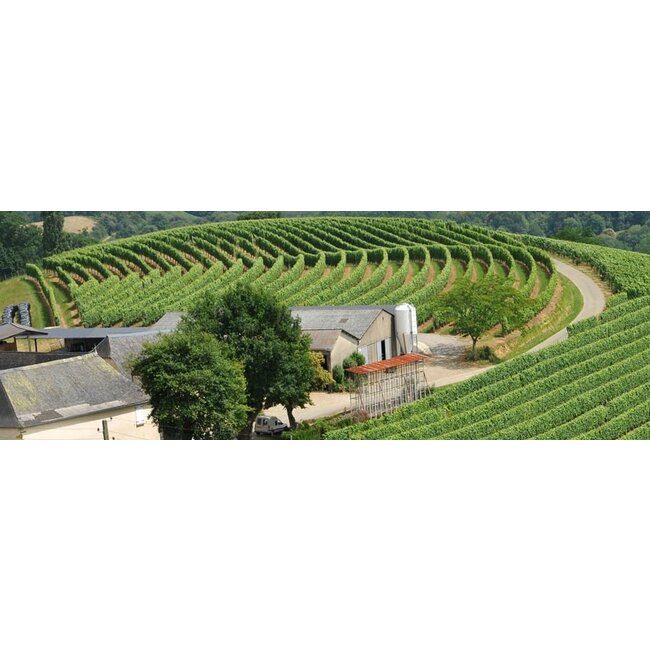 Domaine Saint-Lannes Prélude d'Hiver Moelleux - Côtes de Gascogne, Frankrijk