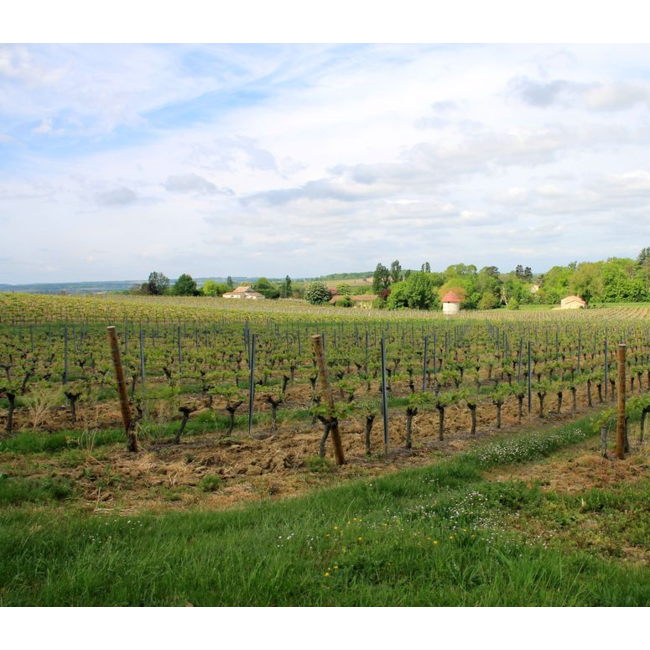 Château Moulin de Malfourat Monbazillac - Monbazillac, Frankrijk