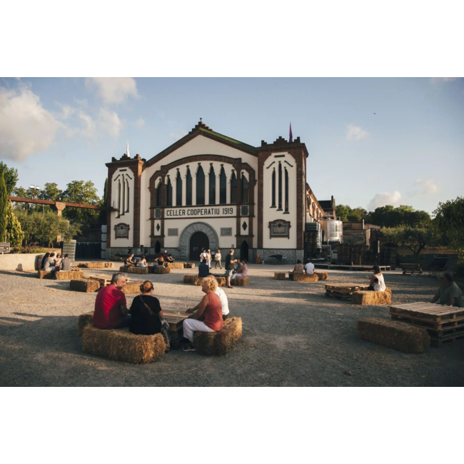 Ètim Verema Tardana Negra Garnatxa D.O. 0,5L - Montsant, Spanje