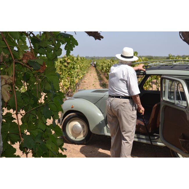 Calitro Primitivo di Manduria Dolce Naturale D.O.C.G. 0,5L - Puglia, Italië