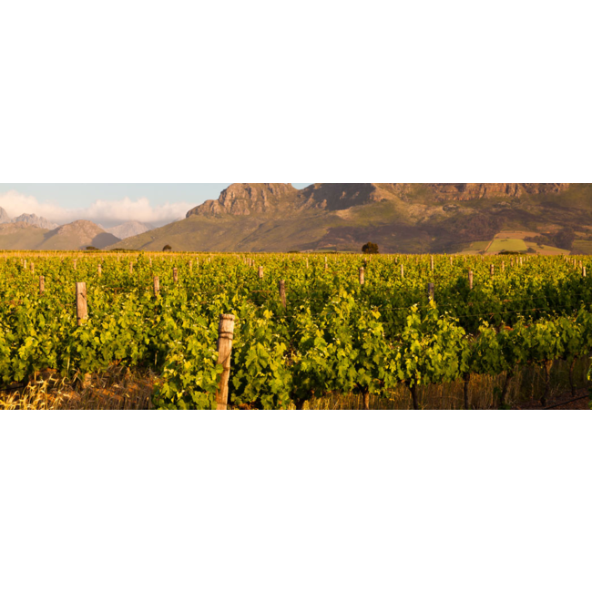 Soopjeshoogte Chardonnay - Western Cape, Zuid-Afrika