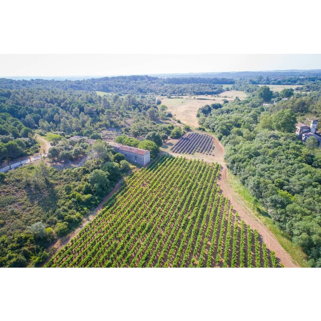 The Finest Grapes Nr. 21 Cuvée Unique - Pays d'Oc, Frankrijk