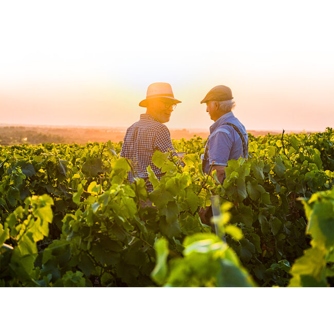 The Finest Grapes Nr. 21 Cuvée Unique - Pays d'Oc, Frankrijk