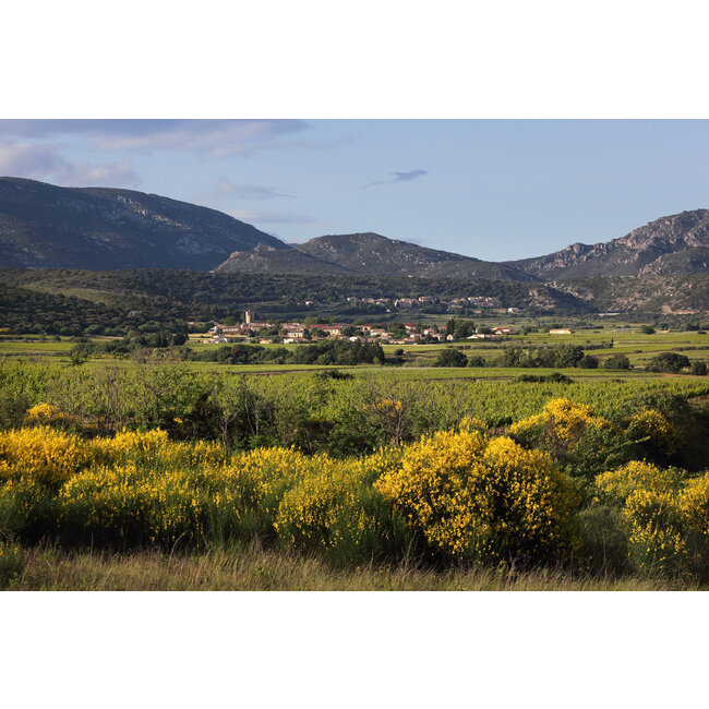 The Finest Grapes Nr. 62 Cuvée Unique rosé - Pays d'Hérault, Frankrijk