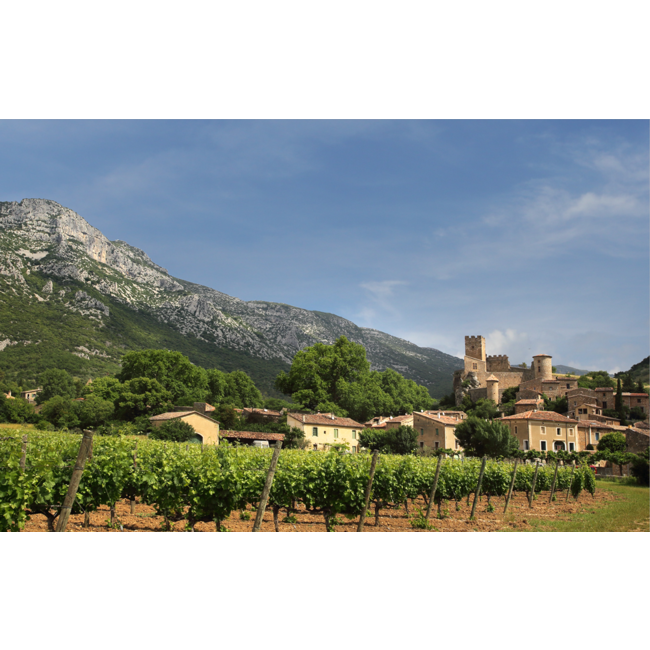 The Finest Grapes Nr. 62 Cuvée Unique rosé - Pays d'Hérault, Frankrijk