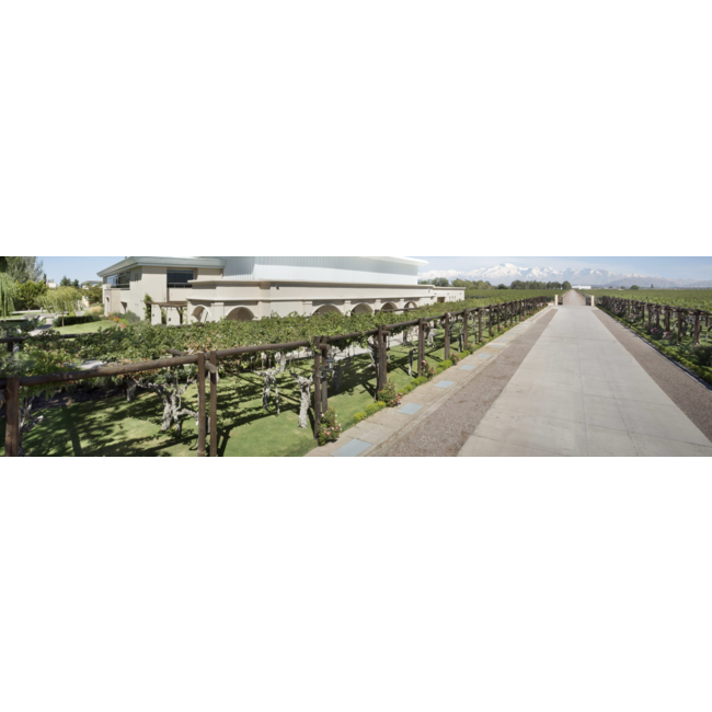 Viñas Argentinas Malbec - Mendoza, Argentinië