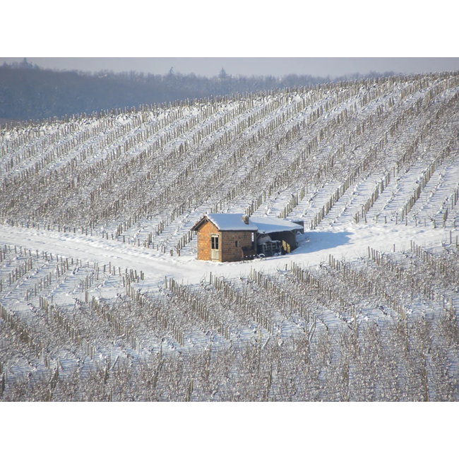 Chablis 1er Cru Fourchaume 2023 Domaine Nathalie & Gilles Fèvre - Bourgogne, Frankrijk