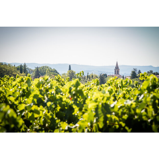 L'Homme Rouge Grenache / Syrah / Mourvèdre Réserve Mont Baudile I.G.P. - Pays d'Oc, Frankrijk