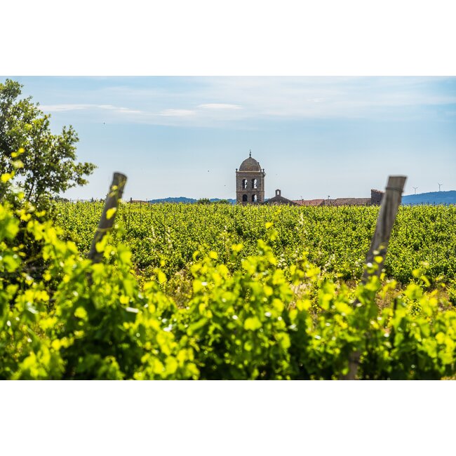 Roques N'Roll Rouge Carignan Réserve - La Livinière, Minervois, Frankrijk