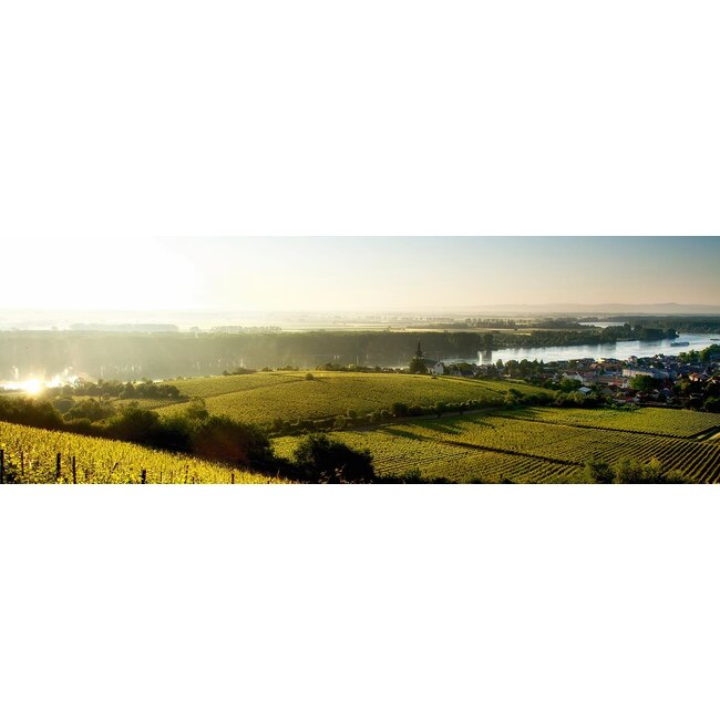 Weingut Georg Gustav Huff Riesling Pettenthal - Nierstein-Schwabsburg, Duitsland