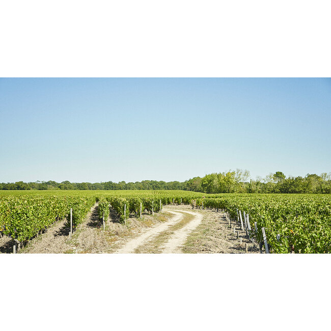 Château Prieuré-Lichine 4e Cru Margaux 2018 - Margaux, Bordeaux, Frankrijk