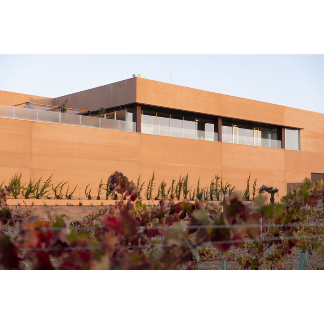 Bodegas Arrāez Vividor Vino Blanco de Verano - Valencia, Spanje