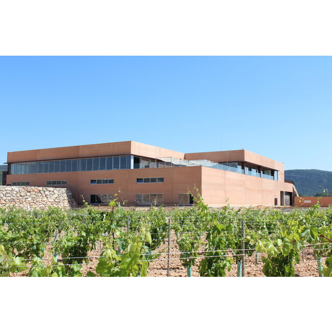 Bodegas Arrāez Canallas Rosado Bobal - Valencia, Spanje