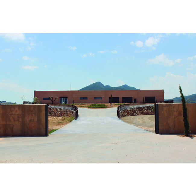 Bodegas Arrāez Vividor Bobal - Valencia, Spanje