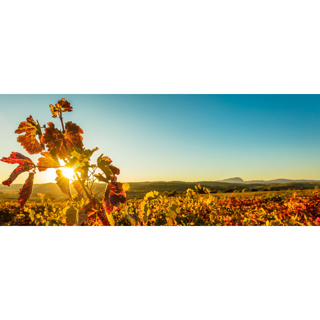 Le Cellier du Pic Là-Haut Cuvée du Vallon Merlot Réserve- Pays d'Oc, Frankrijk