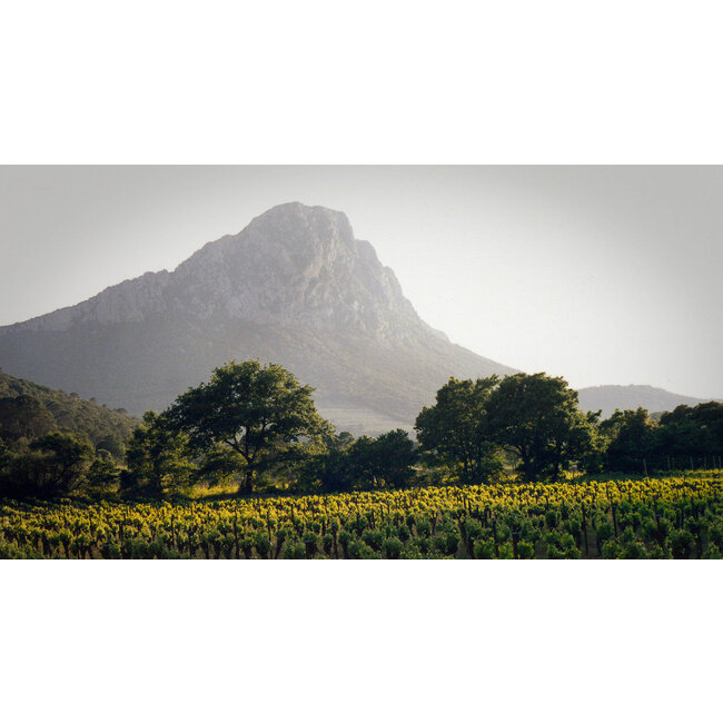 Le Cellier du Pic Là-Haut Cuvée du Vallon Merlot Réserve- Pays d'Oc, Frankrijk