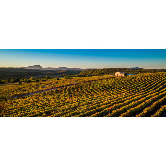 Le Cellier du Pic Là-Haut Cuvée du Vallon Merlot Réserve- Pays d'Oc, Frankrijk