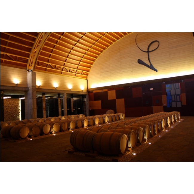 Pago del Vicario Penta 2021 - Castilla-La Mancha, Spanje