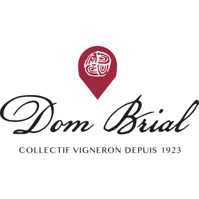 Vignobles Dom Brial Rivesaltes Ambré Hors d'âge Vin Doux Naturel - Rivesaltes, Frankrijk