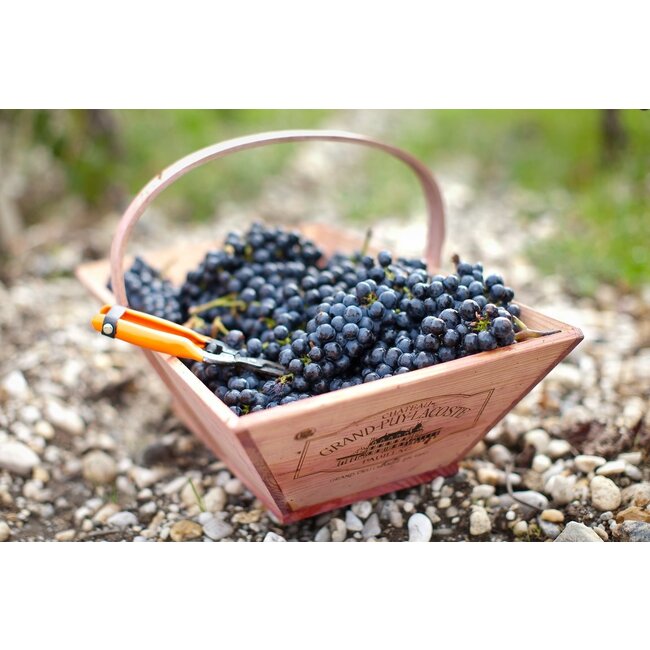 Lacoste-Borie Pauillac Château Grand-Puy-Lacoste 2018 - Pauillac, Bordeaux, Frankrijk