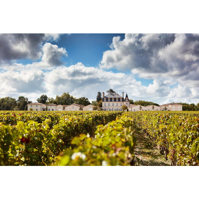 Lacoste-Borie Pauillac Château Grand-Puy-Lacoste 2018 - Pauillac, Bordeaux, Frankrijk
