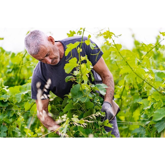 Château Léoville Poyferré 2e Cru Saint-Julien 2006 MAGNUM 1,5L - Saint-Julien, Bordeaux, Frankrijk