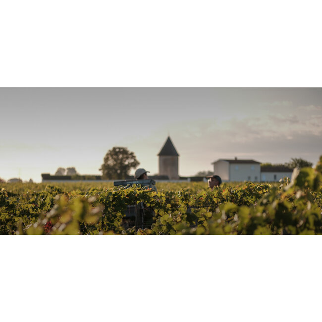 Château La Lagune 3e Cru Haut-Médoc 2015 - Haut-Médoc, Bordeaux, Frankrijk