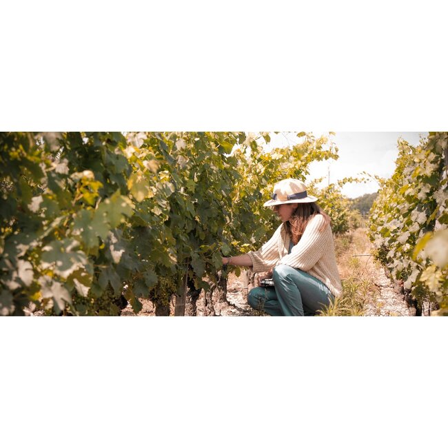 Château La Lagune 3e Cru Haut-Médoc 2015 - Haut-Médoc, Bordeaux, Frankrijk