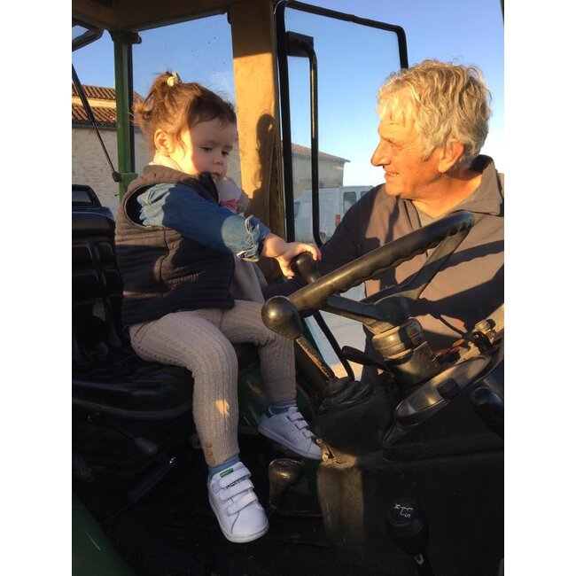 Château Maillet Pomerol 2020 - Pomerol, Bordeaux, Frankrijk