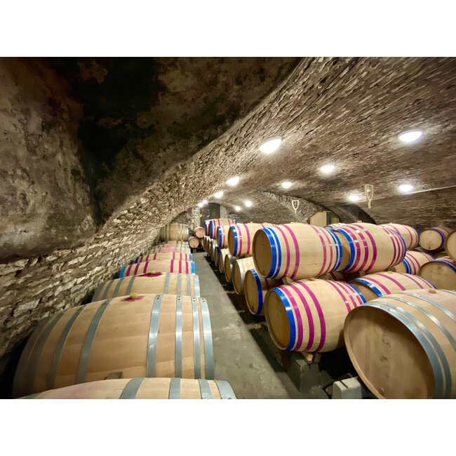 Maison Chanzy Santenay Les Cornières 2022 - Bourgogne, Frankrijk