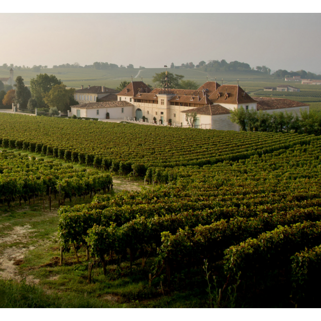 Château Angélus Tempo d'Angelus Bordeaux 2023 - Bordeaux, Frankrijk