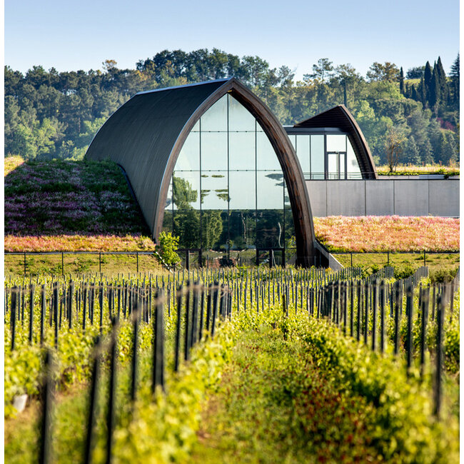 Château Angélus Tempo d'Angelus Bordeaux 2023 - Bordeaux, Frankrijk
