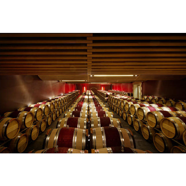 Château Angélus Tempo d'Angelus Bordeaux 2023 - Bordeaux, Frankrijk