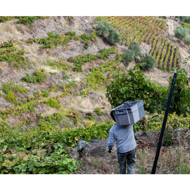 Quinta das Sequeirinhas Tawny Reserve Porto 0,375L - Douro, Portugal