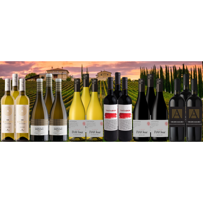 Favorieten Pakket 2025 bestaande uit 18 flessen wijn