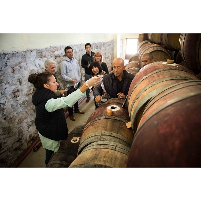 Logodaj Winery Melnik 55 Reserve Early Melnik Grape - Struma Vallei, Bulgarije - Copy