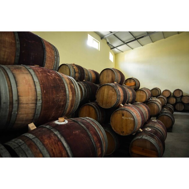 Logodaj Winery Melnik 55 Reserve Early Melnik Grape - Struma Vallei, Bulgarije - Copy