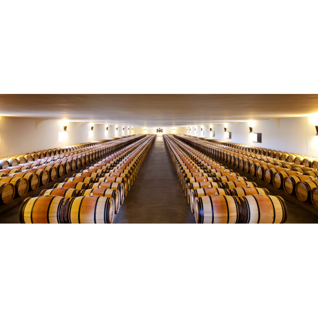 Château Mouton Rothschild 1e Cru Pauillac 2007 - Pauillac, Bordeaux, Frankrijk