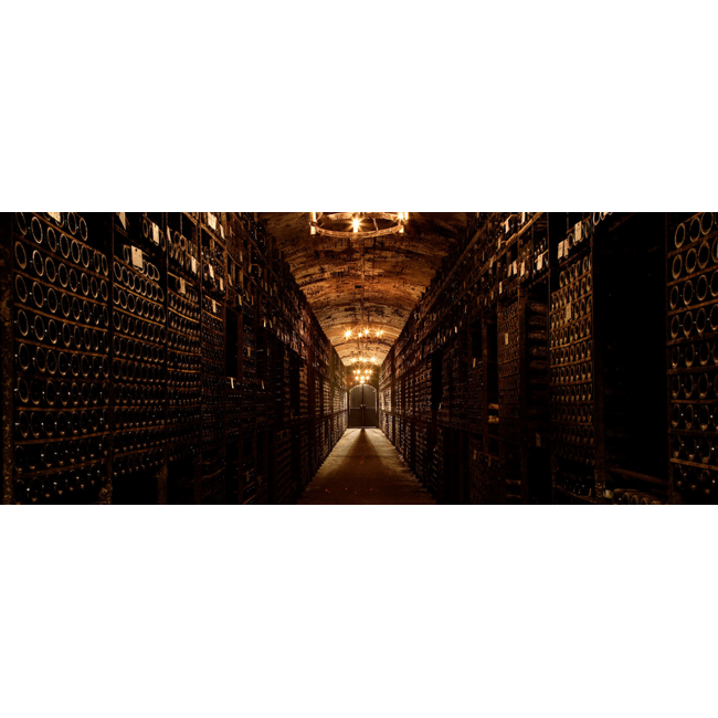 Château Mouton Rothschild 1e Cru Pauillac 2007 - Pauillac, Bordeaux, Frankrijk