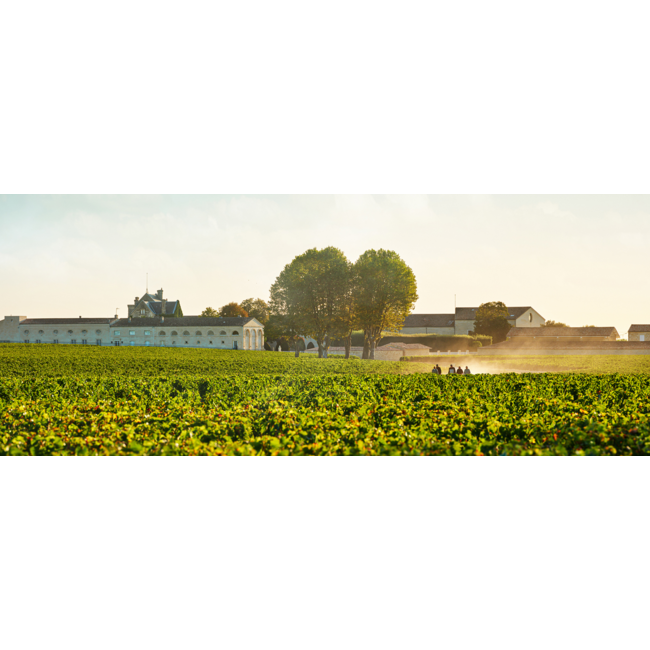 Château Mouton Rothschild 1e Cru Pauillac 2007 - Pauillac, Bordeaux, Frankrijk