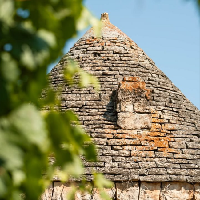 Tagaro Fiano I.G.P. Lunario - Puglia, Italië