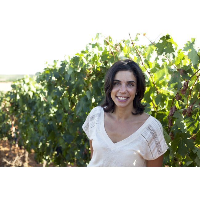 Alegra Verdejo Rueda D.O. De Andrés Sisters - Rueda, Spanje