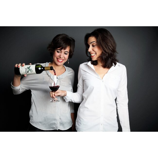 Alegra Verdejo Rueda D.O. De Andrés Sisters - Rueda, Spanje