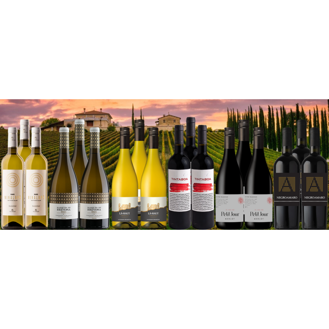 Favorieten Pakket 2025 bestaande uit 18 flessen wijn