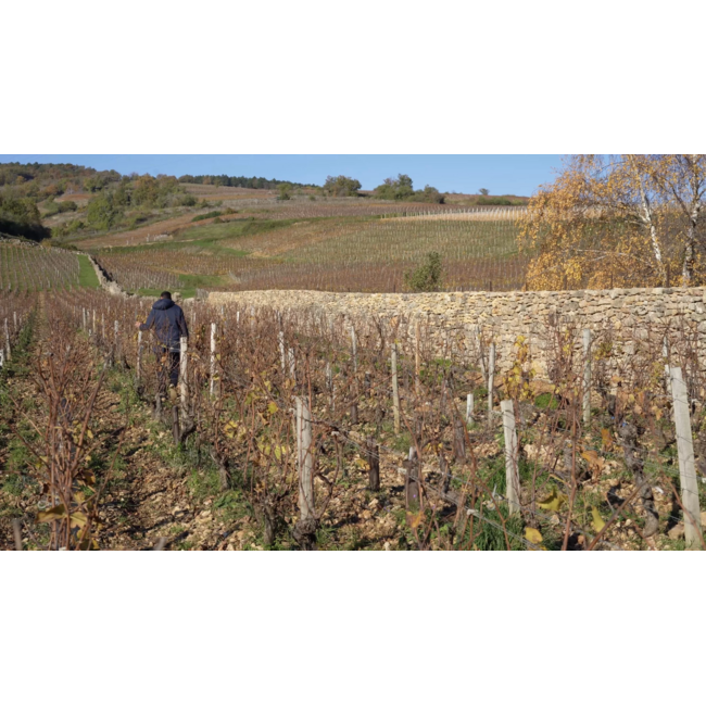 Château de Fuissé Pouilly-Fuissé Tête de Cuvée 2023 - Bourgogne, Frankrijk