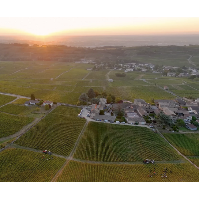 Château de Fuissé Pouilly-Fuissé Tête de Cuvée 2023 - Bourgogne, Frankrijk
