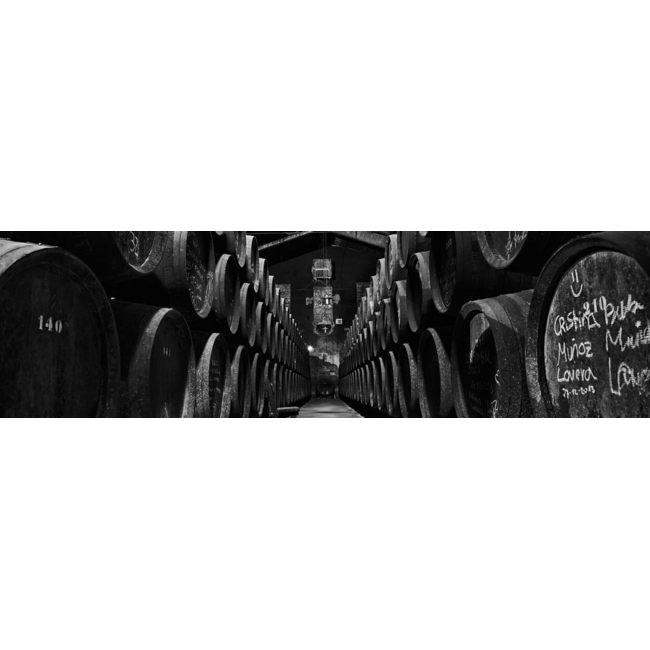Bodegas Toro Albalá Don PX Pedro Ximénez Solera 1922 Montilla-Moriles D.O.P. 0,375L - Andalusië, Spanje