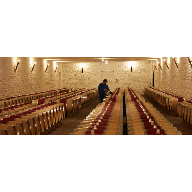 Château d'Armailhac 5e Cru Pauillac 2024 - Pauillac, Bordeaux, Frankrijk